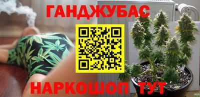 молекула духа Будённовск
