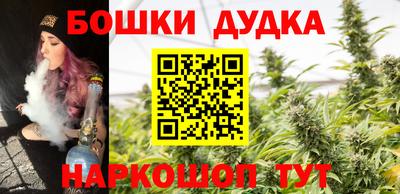 молекула духа Будённовск