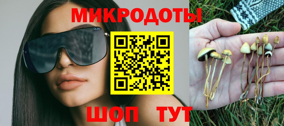 Псилоцибиновые грибы прущие грибы Темрюк