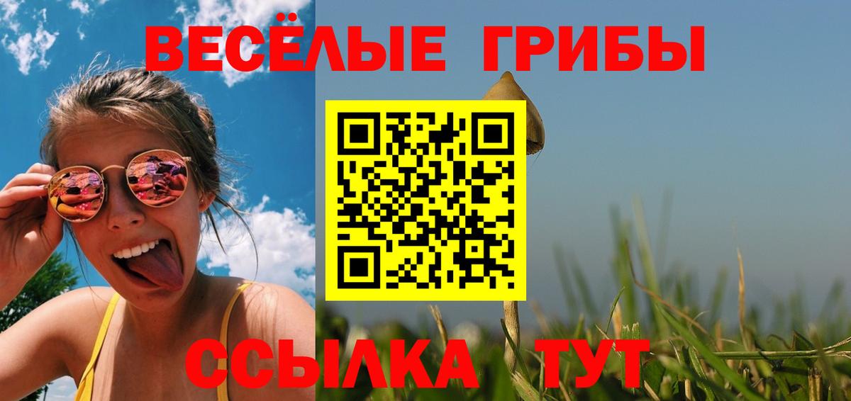 Галлюциногенные грибы мицелий  Вход с VPN  Темрюк  Галлюциногенные грибы мицелий 
